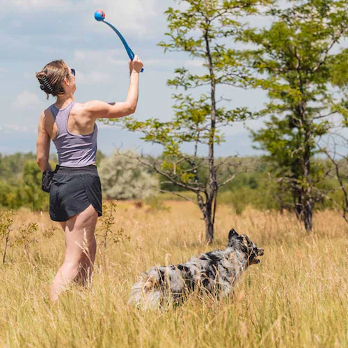 �`���L�b�g (Chuckit!) �X�|�[�c �{�[�������`���[ 18M 06800D �y�v���U�Z���N�g�z_2