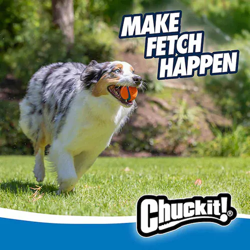 �`���L�b�g (Chuckit!) �E���g���{�[�� �~�f�B�A�� 170015D �y�v���U�Z���N�g�z_2