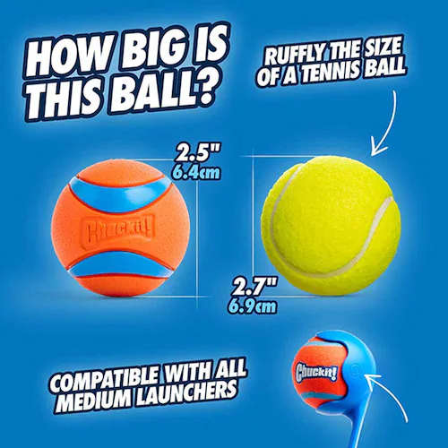 �`���L�b�g (Chuckit!) �E���g���{�[�� �~�f�B�A�� 170015D �y�v���U�Z���N�g�z_3