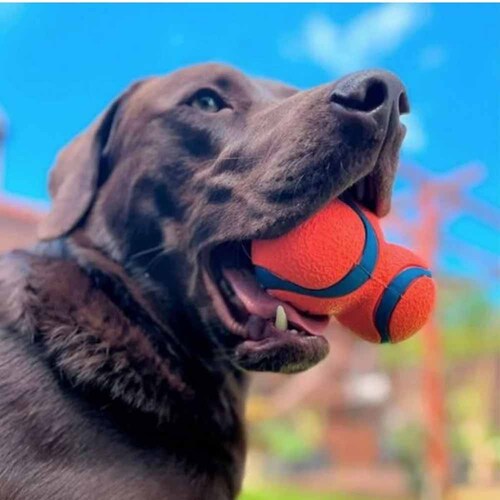 �`���L�b�g (Chuckit!) �E���g���^���u���[ 33117D �y�v���U�Z���N�g�z_3