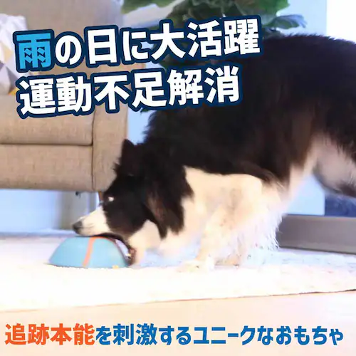 �`���L�b�g (Chuckit!) �C���h�A �X���C�_�[ 50993D �y�v���U�Z���N�g�z_3