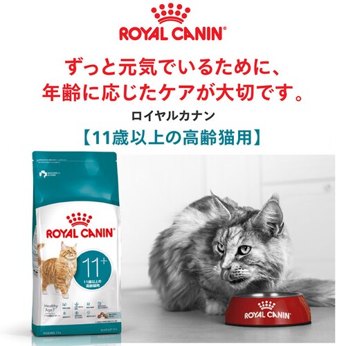 ロイヤルカナン キャット エイジング 11+ 400g FHN(フィーライン ヘルス ニュートリション )rccf09_2