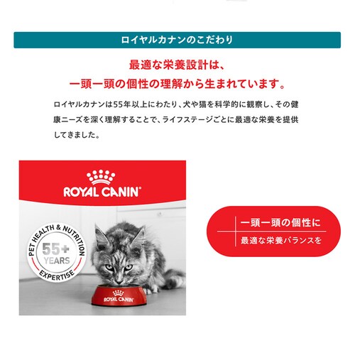 ロイヤルカナン キャット エイジング 11+ 400g FHN(フィーライン ヘルス ニュートリション )rccf09_6