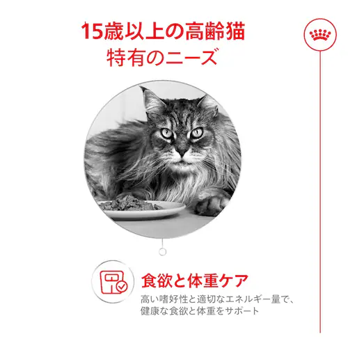 ロイヤルカナン 猫 エイジング 15+ 400g 15歳以上 高齢猫用 FHN(フィーライン ヘルス ニュートリション )rccf37_2
