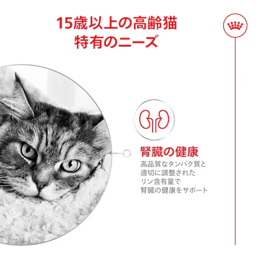 ロイヤルカナン 猫 エイジング 15+ 400g 15歳以上 高齢猫用 FHN(フィーライン ヘルス ニュートリション )rccf37_3