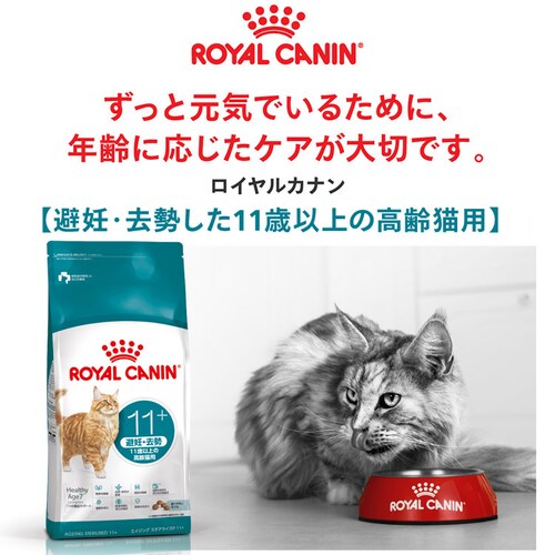 �y2�Z�b�g�z���C�����J�i�� �L���b�g �G�C�W���O �X�e�A���C�Y�h 11+ 4kg FHN�i�t�B�[���C�� �w���X �j���[�g���V���� �jrccf10_1