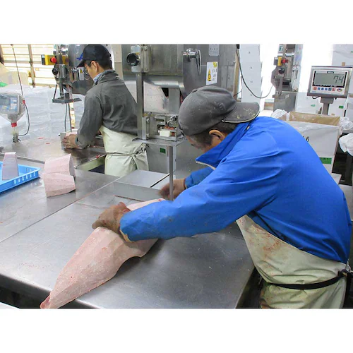 �_�ސ쌧���A�O��` �܂��듂�g���E�ЂƂ����J�c�Z�b�g �y���Ԏw��s�z�y����s�z�y�����s�z_6