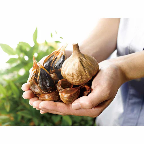 �X���Y���ɂ�ɂ��n�� �y���Ԏw��s�z�y����s�z�y�����s�z_3