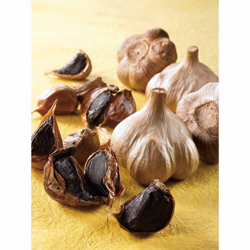 �X���Y���ɂ�ɂ��n�� �y���Ԏw��s�z�y����s�z�y�����s�z_6