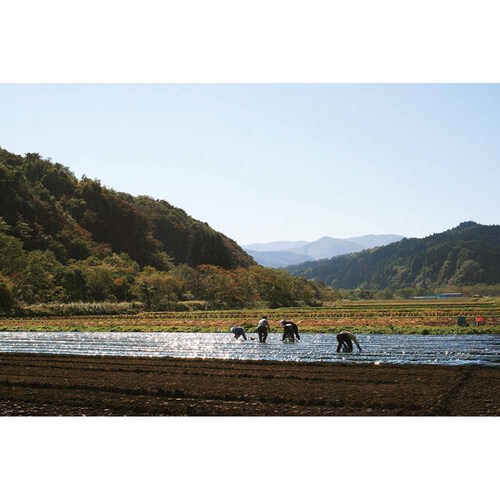 �X���Y���ɂ�ɂ��n�� �y���Ԏw��s�z�y����s�z�y�����s�z_11