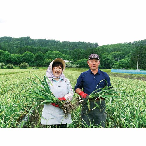 �X���Y���ɂ�ɂ��n�� �y���Ԏw��s�z�y����s�z�y�����s�z_12