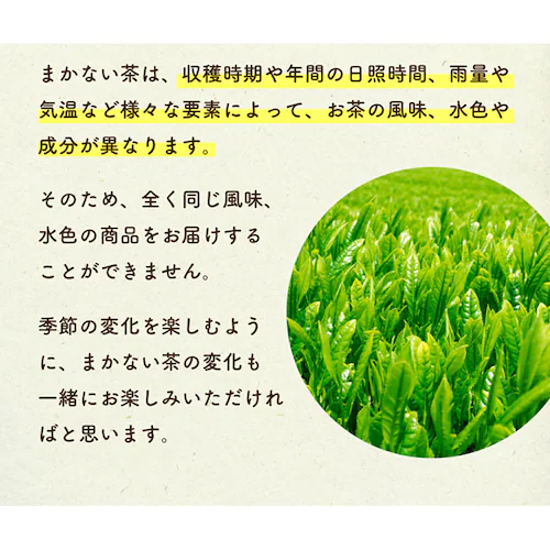 �e�B�[���C�t �e�B�[���C�t�̂܂��Ȃ��� 100�� 90751 �y�v���U�Z���N�g�z_6