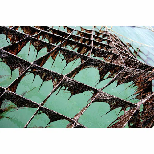 ���� ���΂̕� 8��48�� ���̂�1�E�Ă̂�1 ���� �y�v���U�Z���N�g�z_3