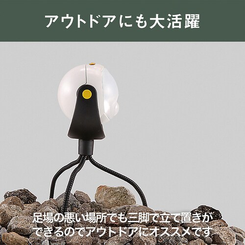 �ǂ��ł��Z���T�[���C�g�@���d�r�� �z���C�g ASL-090 _6