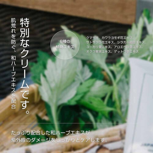 FUKUBISUI ������UV�N���[���iSPF48 PA+++�j 50g �y�v���U�Z���N�g�z_3