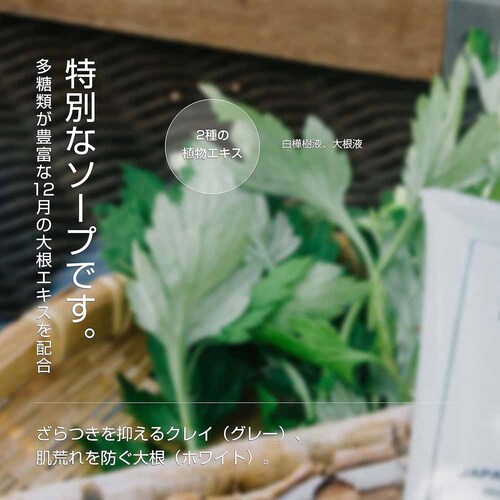 FUKUBISUI 福美水ダイコンソープ(石鹸) 80g 【プラザセレクト】_3