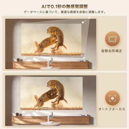ETOE �v���W�F�N�^�[ Starfish Plus �z���C�g_5