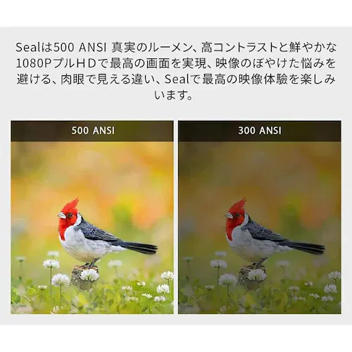 ETOE �v���W�F�N�^�[ Seal �z���C�g_6