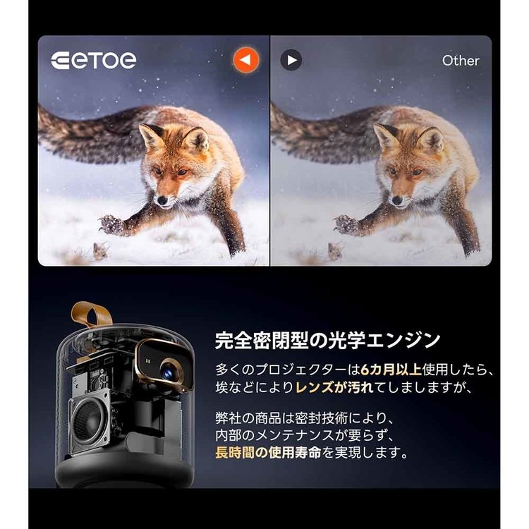 ETOE プロジェクター Dolphin ダークグレー 7341992│アイリスオーヤマ