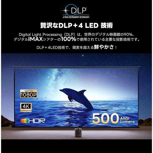 ETOE �v���W�F�N�^�[ Dolphin �_�[�N�O���[_4