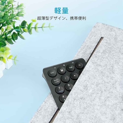 iClever �e���L�[ KP08 �~���g�O���[��_7