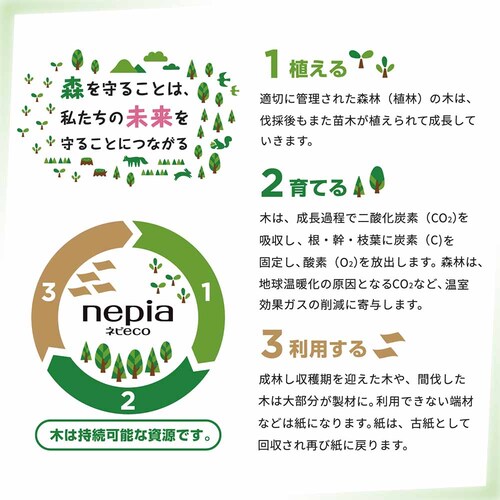 �l�seco �y12�Z�b�g�z�l�s�A�l�seco�e�B�V��200W5P �y�v���U�Z���N�g�z_2