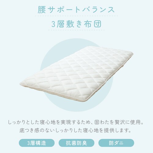 �ӂƂ�t�@�N�g���[ ���T�|�[�g�o�����X�O�w�~���z�c SL�A�C�{���[ _2