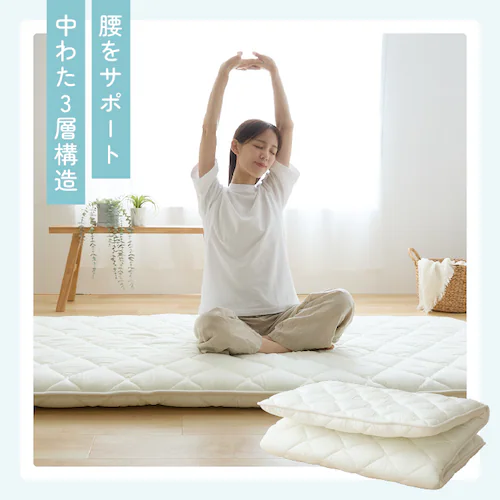 �ӂƂ�t�@�N�g���[ ���T�|�[�g�o�����X�O�w�~���z�c SL�A�C�{���[ _4