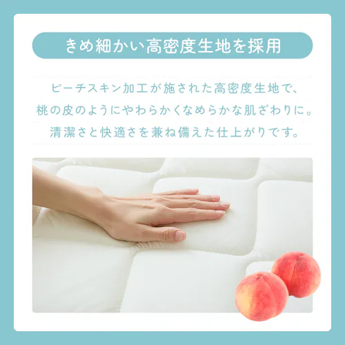 �ӂƂ�t�@�N�g���[ ���T�|�[�g�o�����X�O�w�~���z�c SL�A�C�{���[ _12