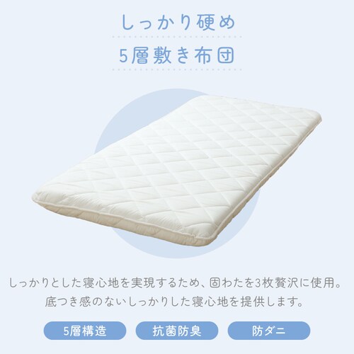 �ӂƂ�t�@�N�g���[ ��������łߌܑw�~���z�c SL�A�C�{���[ _2