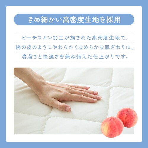 �ӂƂ�t�@�N�g���[ ��������łߌܑw�~���z�c SL�A�C�{���[ _11