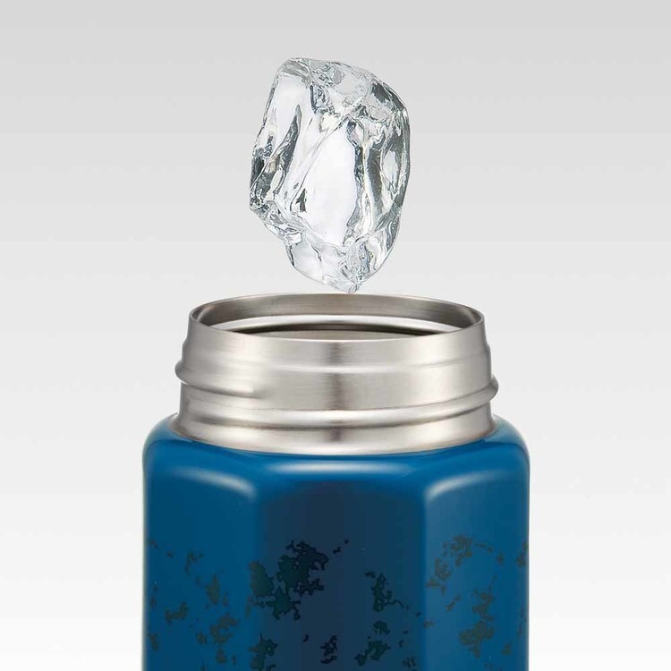 水筒 Skater 真空ステンレス 保冷 八角 ボトル 500ml ドラゴンボールZ