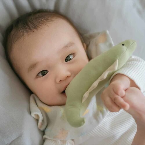 Lien de famille �I���W�i�����X�^�C�ƃ��g���̃x�r�[�P�[�L K01-01106 �`���[���b�v_11