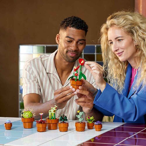 BOTANICALS ミニ観葉植物セット 10329 【プラザセレクト】_5