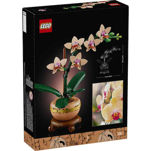 BOTANICALS ラン<ミニ> 10343 【プラザセレクト】_4