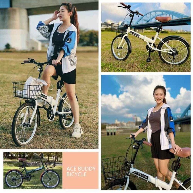 アイトン 【完成品お届け】 折畳み自転車 6段変速 20インチ AIT206-5