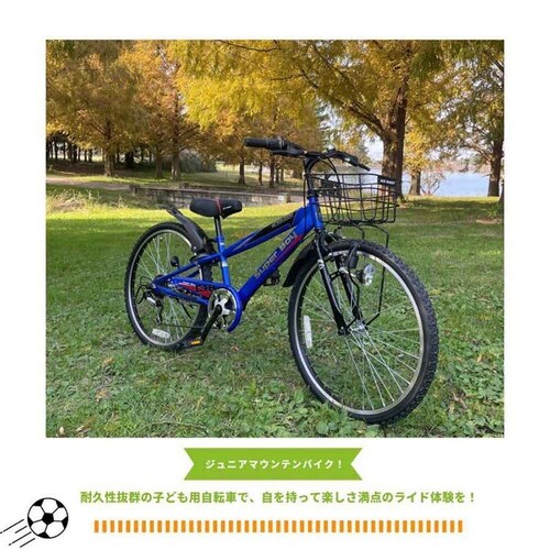 �A�C�g�� �y�����i���͂��z�V�e�B�T�C�N�� 24�C���` 6�i�ϑ� �q���p AIT246 �u���[�y���Ԏw��s�z�y����s�z�y�����s�z_9