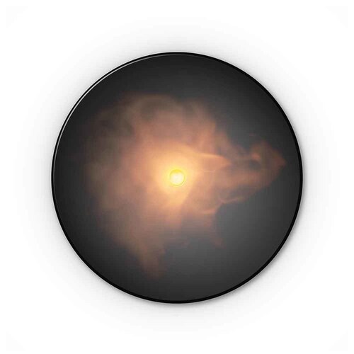 Stadler Form Stadler Form Nora �A���}�f�B�t���[�U�[ _6