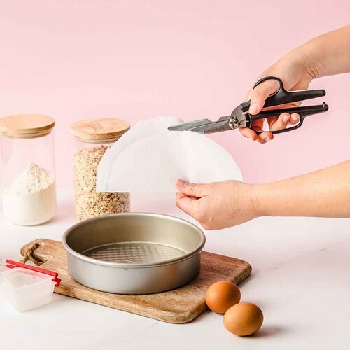 dreamfarm Bishers �}���`�V�U�[ �y������s�z_3