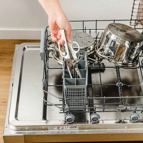 dreamfarm Bishers �}���`�V�U�[ �y������s�z_5