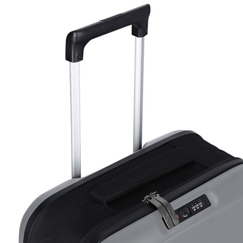 Rollink/���[�����N Flex Light�X�[�c�P�[�X 40L 850047453037 �O���[_9