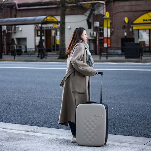 Rollink/���[�����N Flex Vega�X�[�c�P�[�X 40L 4992831508205 �A�g�����e�B�b�N�u���[_2