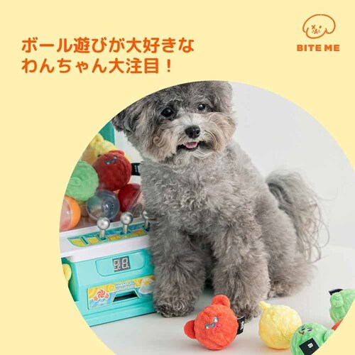 ���܃L�����f�B�[�{�[���������� �i3�Z�b�g�j_3