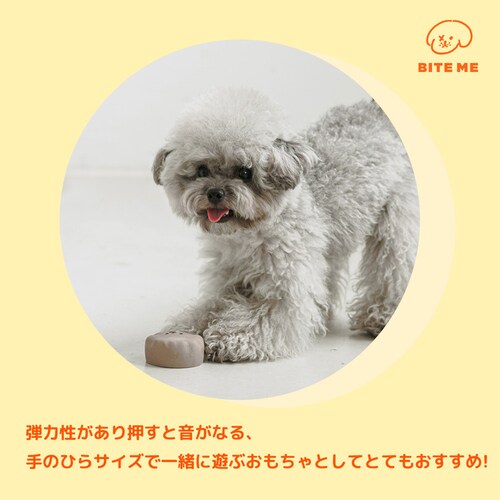 ���̖����e�b�N�X�������� �z���C�g_5