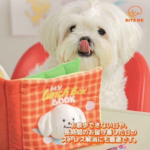 �m�[�Y���[�N�v���C�u�b�N �����`�{�b�N�X_2