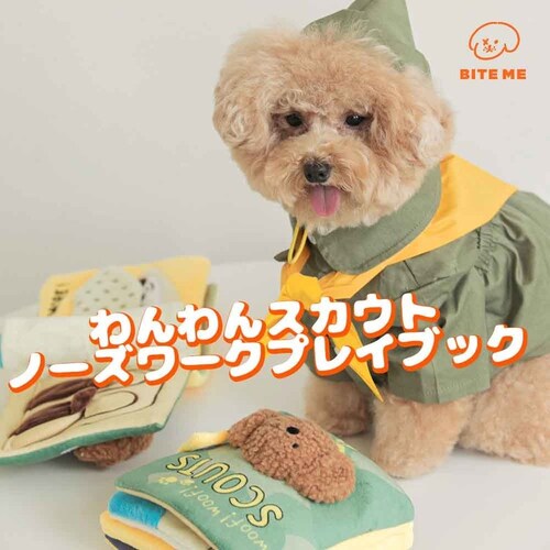 �m�[�Y���[�N�v���C�u�b�N �����`�{�b�N�X_4