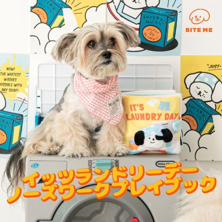 ノーズワークプレイブック ランチボックス 7343392 │アイリスオーヤマ