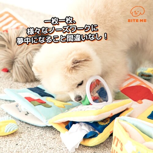 �m�[�Y���[�N�v���C�u�b�N �����`�{�b�N�X_10