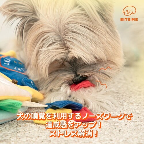 �m�[�Y���[�N�v���C�u�b�N �����`�{�b�N�X_11