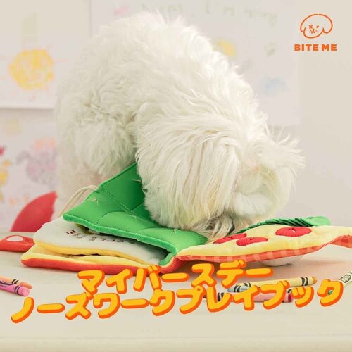 �m�[�Y���[�N�v���C�u�b�N �����`�{�b�N�X_13